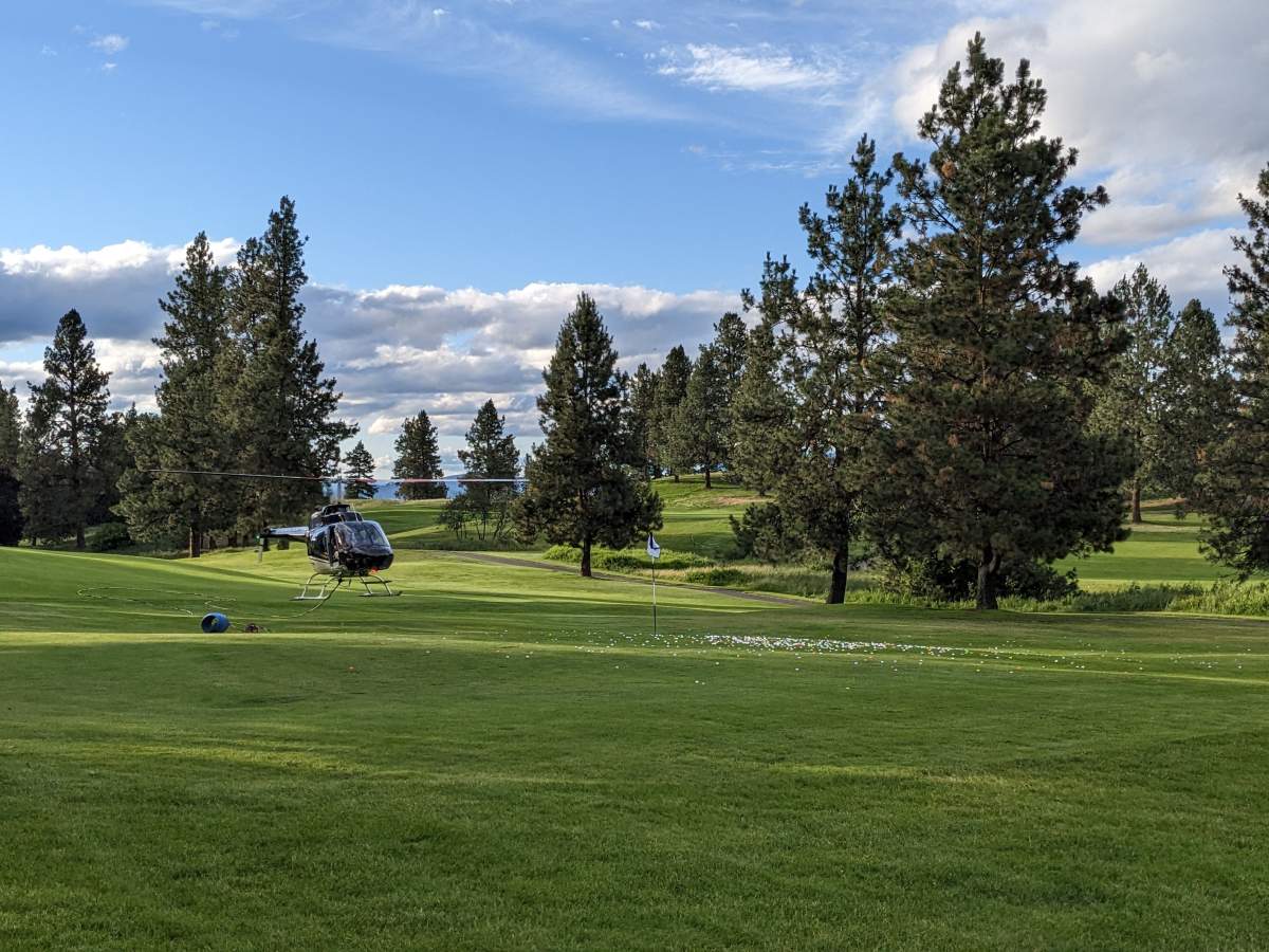 Central Okanagan Food Bank helicopter ball drop - image