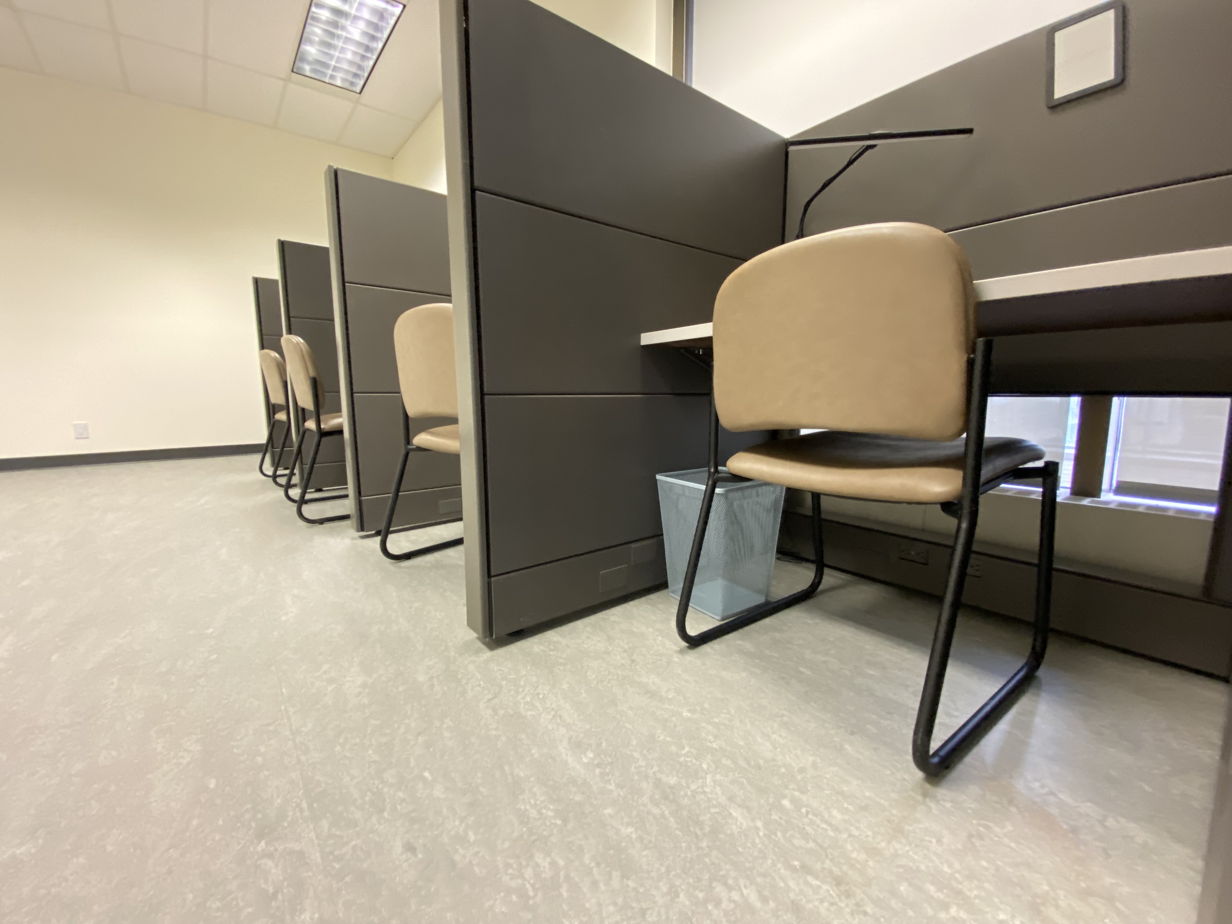 Жасмин Флин е израснала в къща в която и двамата