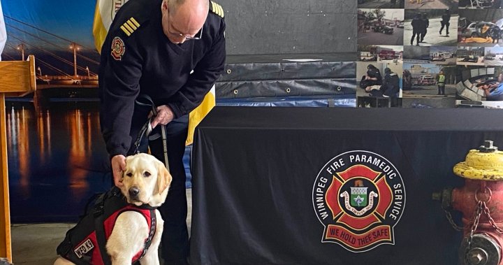 След шест месеца интензивно обучение, най-новият член на пожарната парамедична