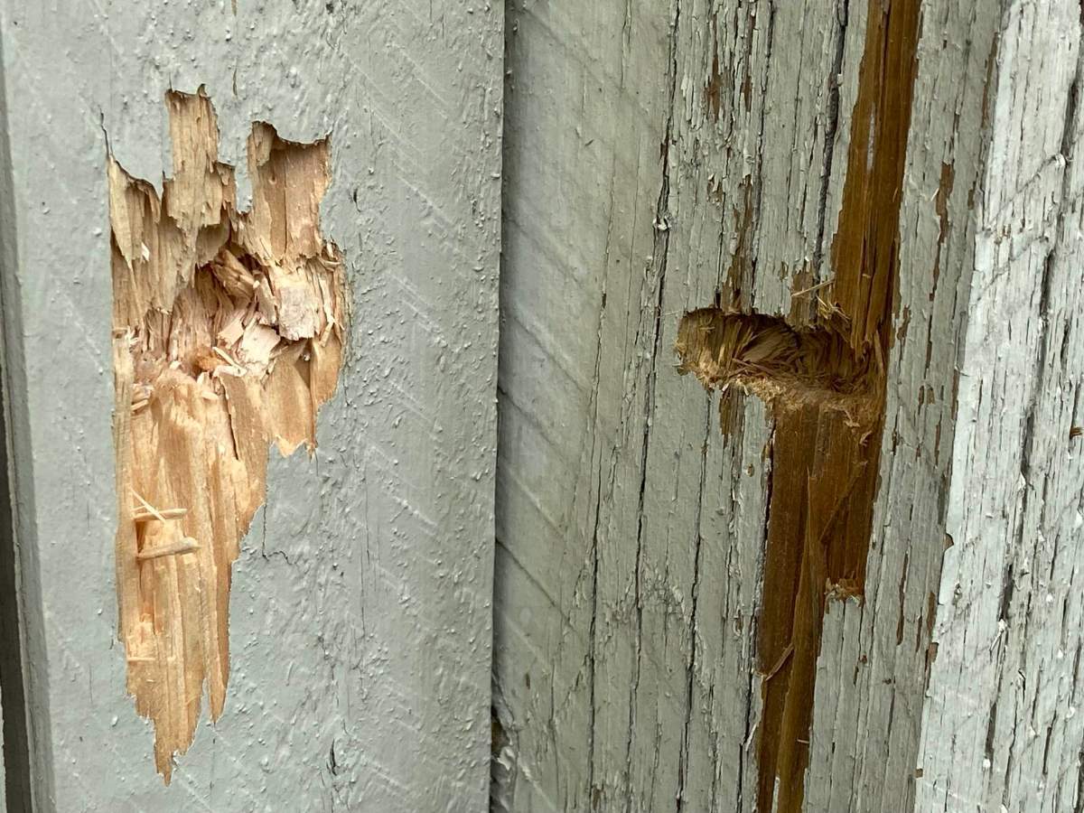 southeast Edmonton shooting