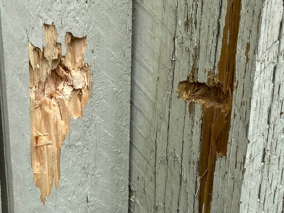 Several homes in southeast Edmonton damaged by weekend gunfire