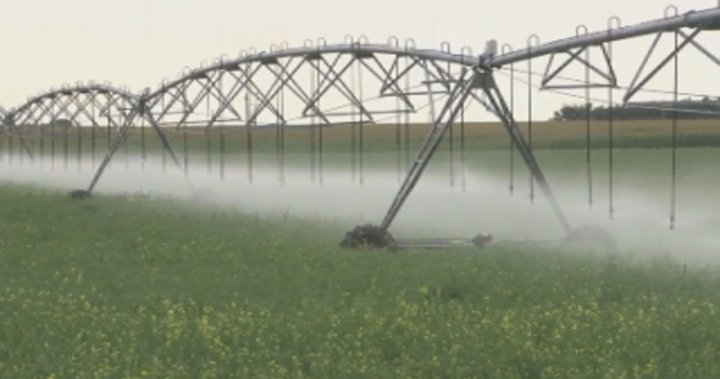 Alberta invests $19M for irrigation infrastructure upgrades