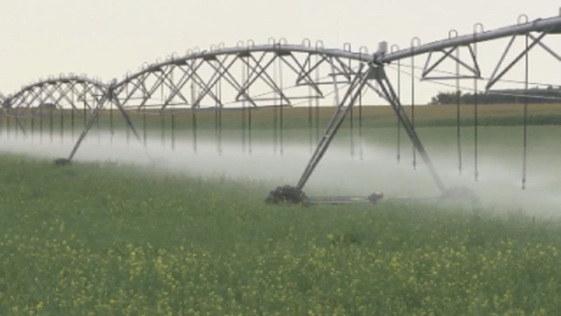 Alberta invests $19M for irrigation infrastructure upgrades