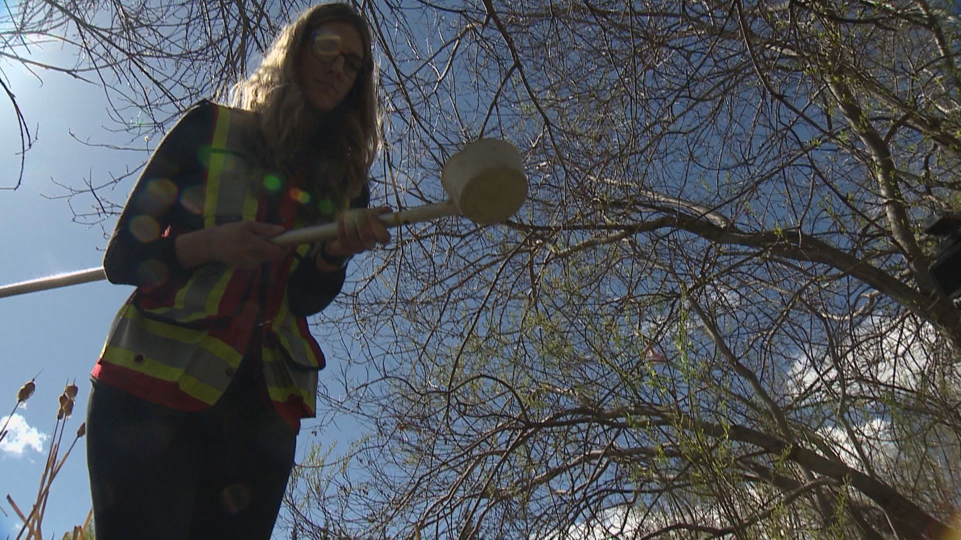 Джогинг по пътеките на реката на Калгари в красив слънчев