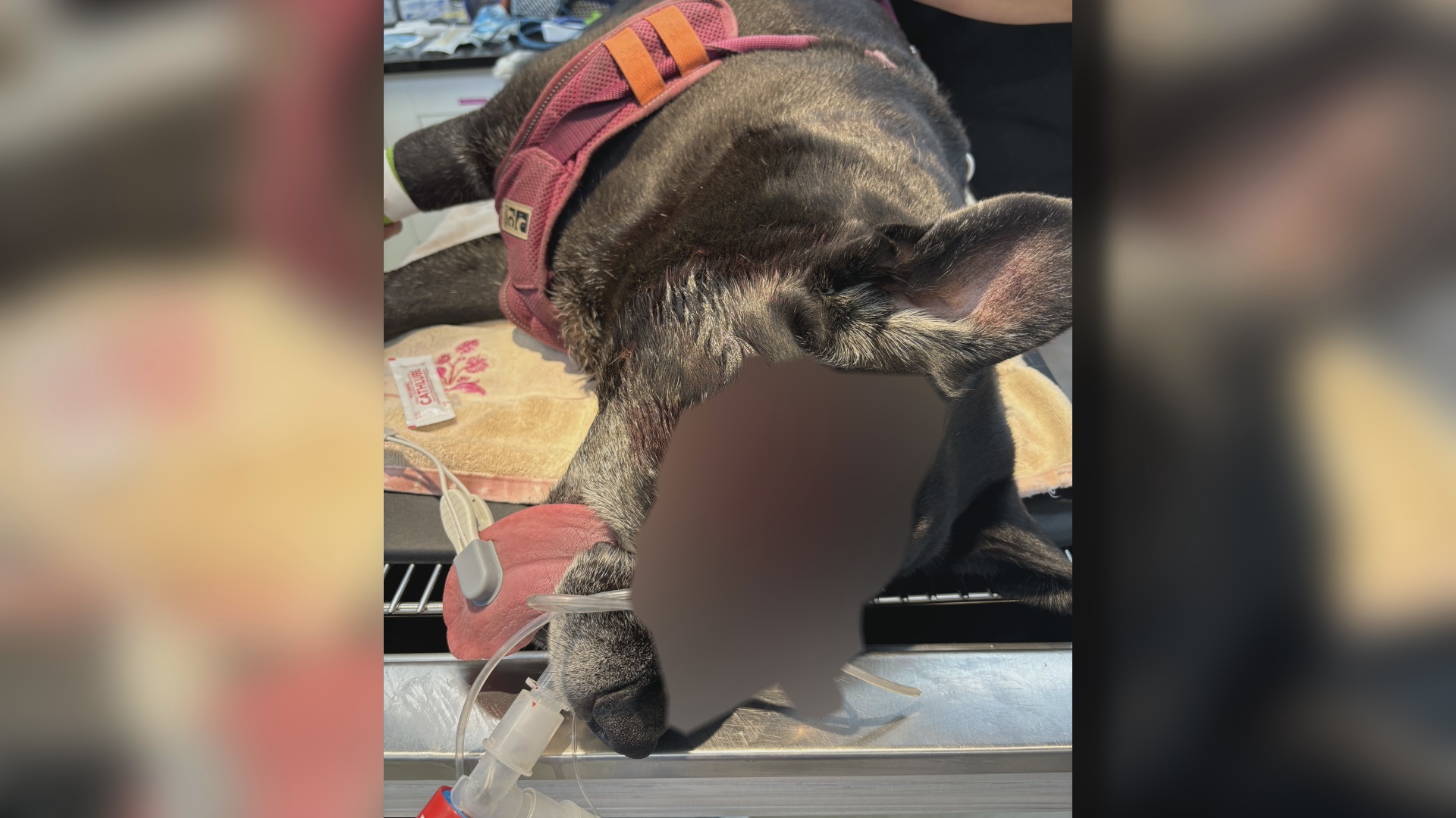 Предупреждение Тази история съдържа чувствително съдържание което може да е