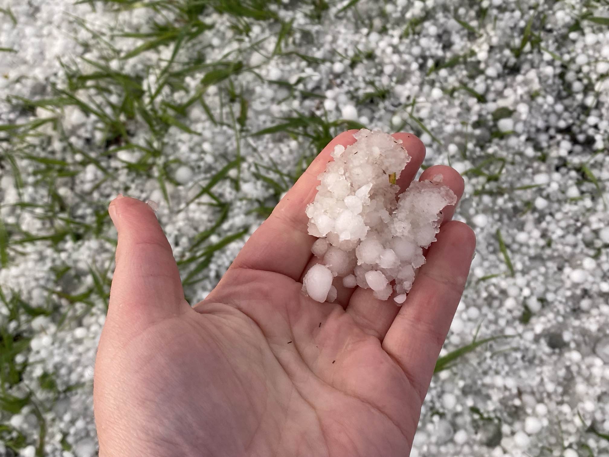 Ако сте в южната част на Манитоба може би сте