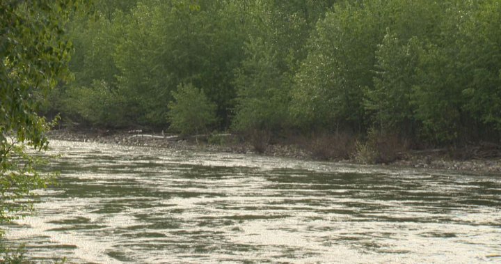 „Извън класациите“: Жителите, загрижени за броя на E. coli в Middle Shuswap River