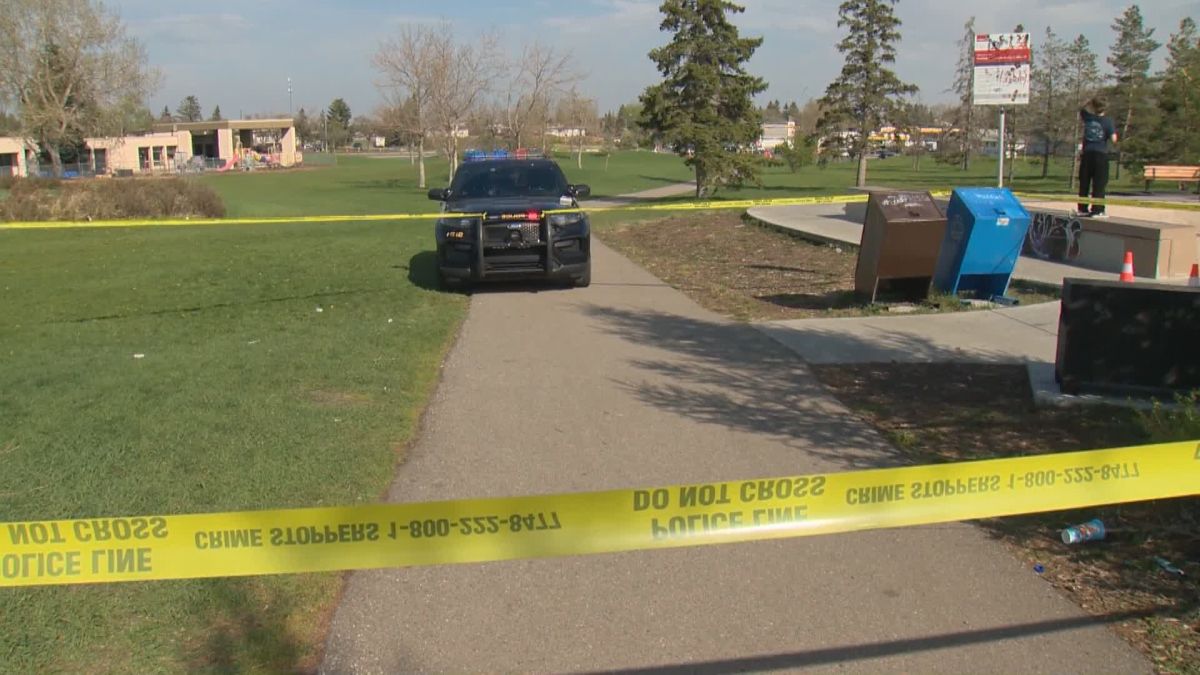 Calgary police believe a teen was stabbed at about 4:30 p.m. on May 13, 2024 in a green space near John G. Diefenbaker High School and St. Helena School.
