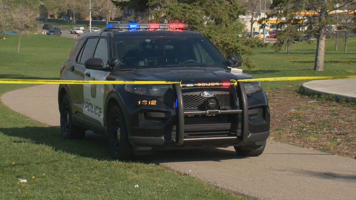 Calgary police believe a teen was stabbed at about 4:30 p.m. on May 13, 2024 in a green space near John G. Diefenbaker High School and St. Helena School.