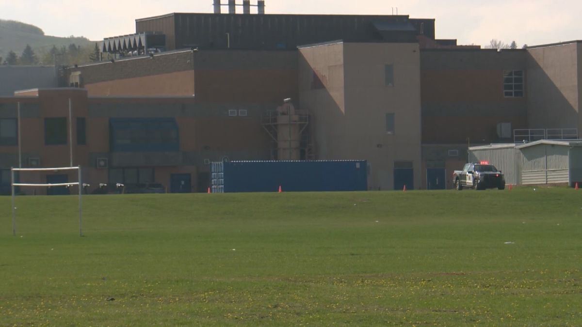 Calgary police believe a teen was stabbed at about 4:30 p.m. on May 13, 2024 in a green space near John G. Diefenbaker High School and St. Helena School.