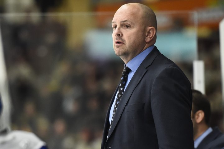 Cory Stillman named new head coach of OHL’s Guelph Storm
