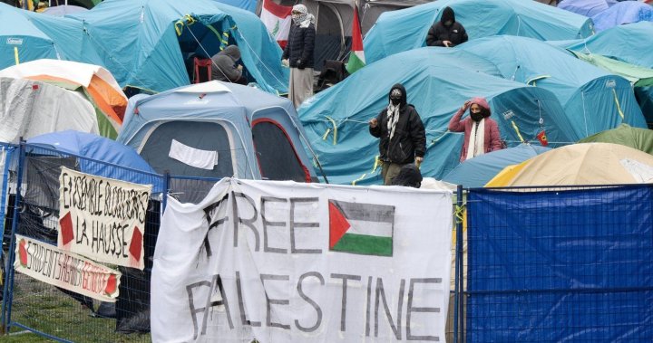 Pro-Palestinian encampment protest begins at University of Toronto