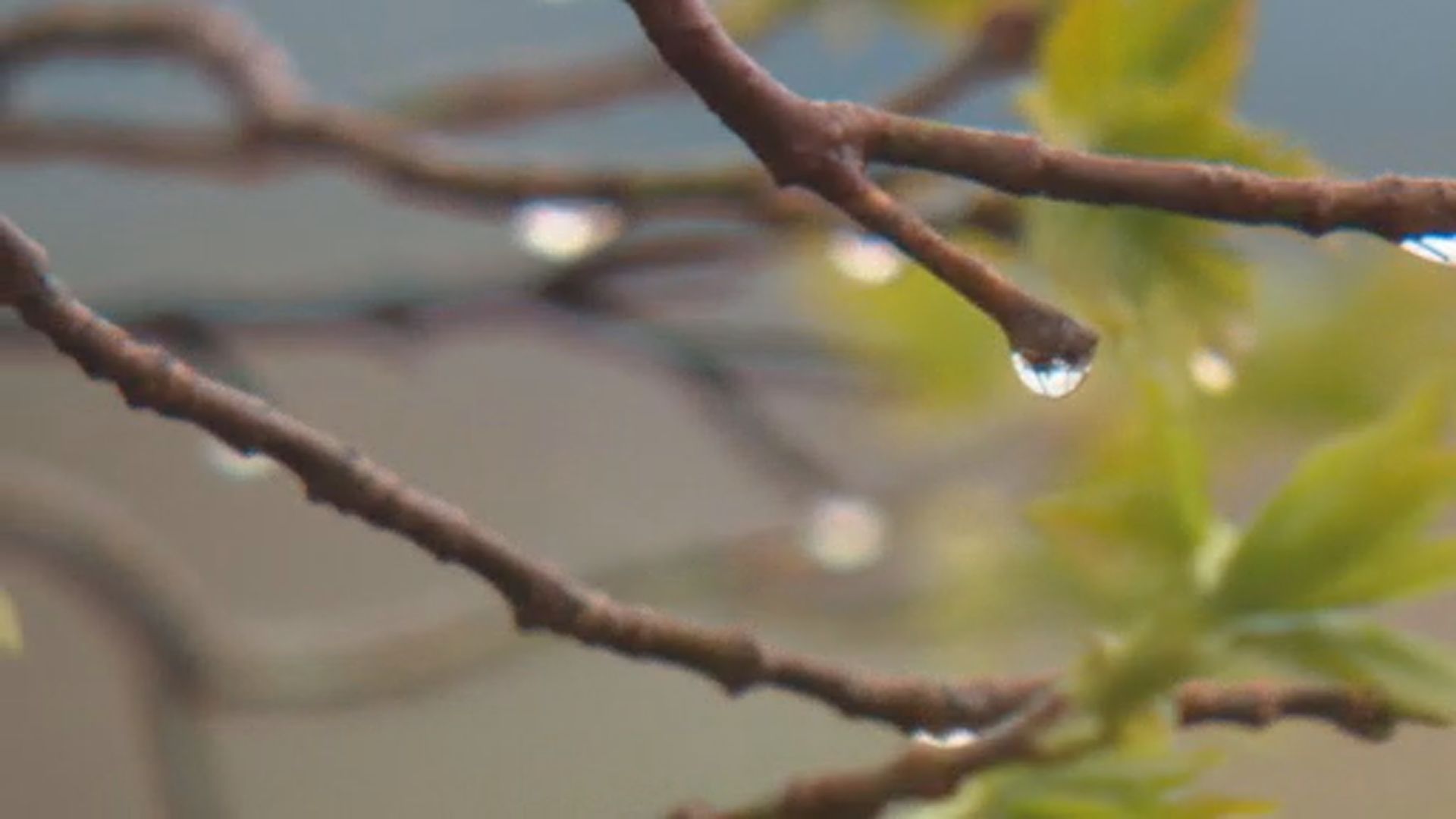 Торнадо докосна централна Алберта в понеделник следобед няколко часа преди