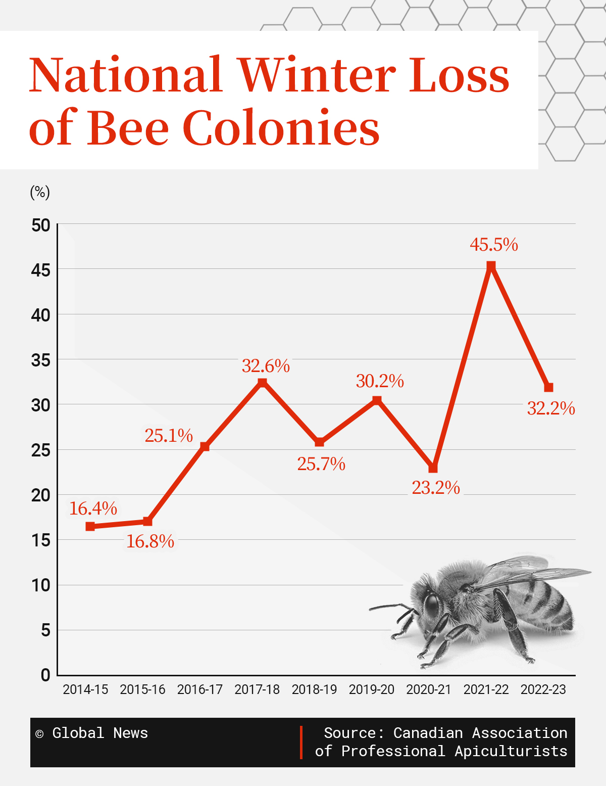 Canada is relying on queen bee imports. Why it’s a risky crutch