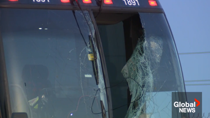 American man charged after wheel smashes bus windshield, killing 1 and injuring 3: OPP