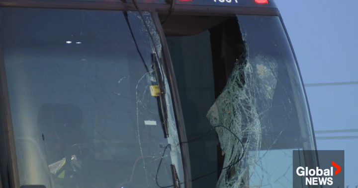 Американец е обвинен, след като колелото разби предното стъкло на автобус, уби 1 и рани 3: OPP
