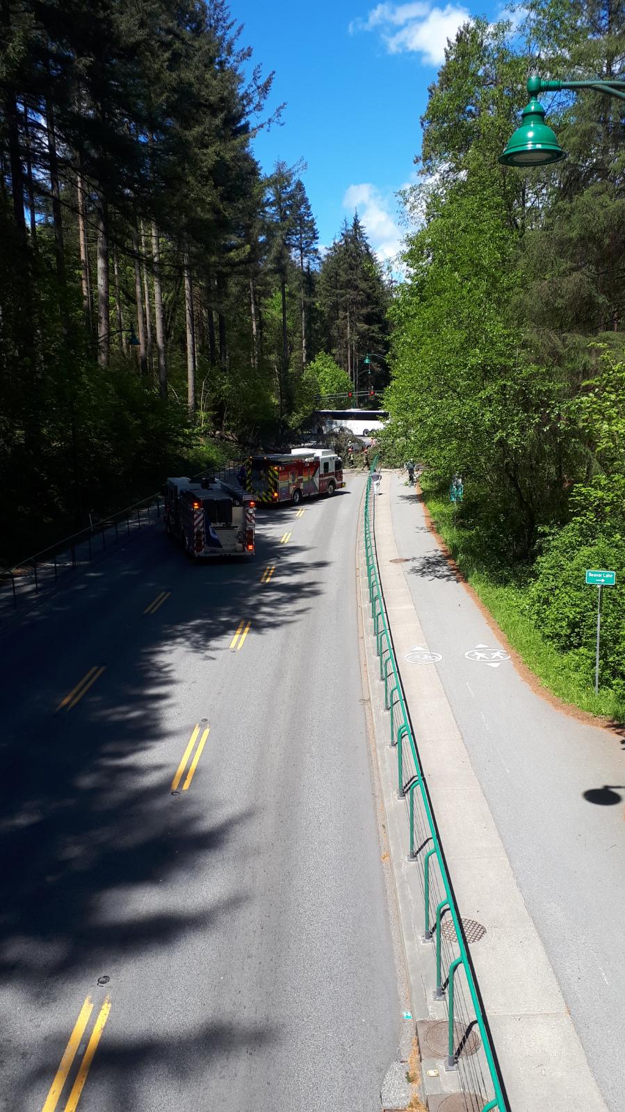 A downed tree has closed the Lions Gate Bridge on Tuesday afternoon.