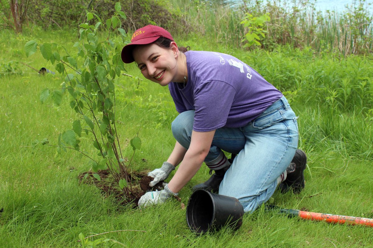 A Siemens Canada employee plants a tree at the Riverview Park and Zoo in Peterborough, Ont., on May 22, 2024.