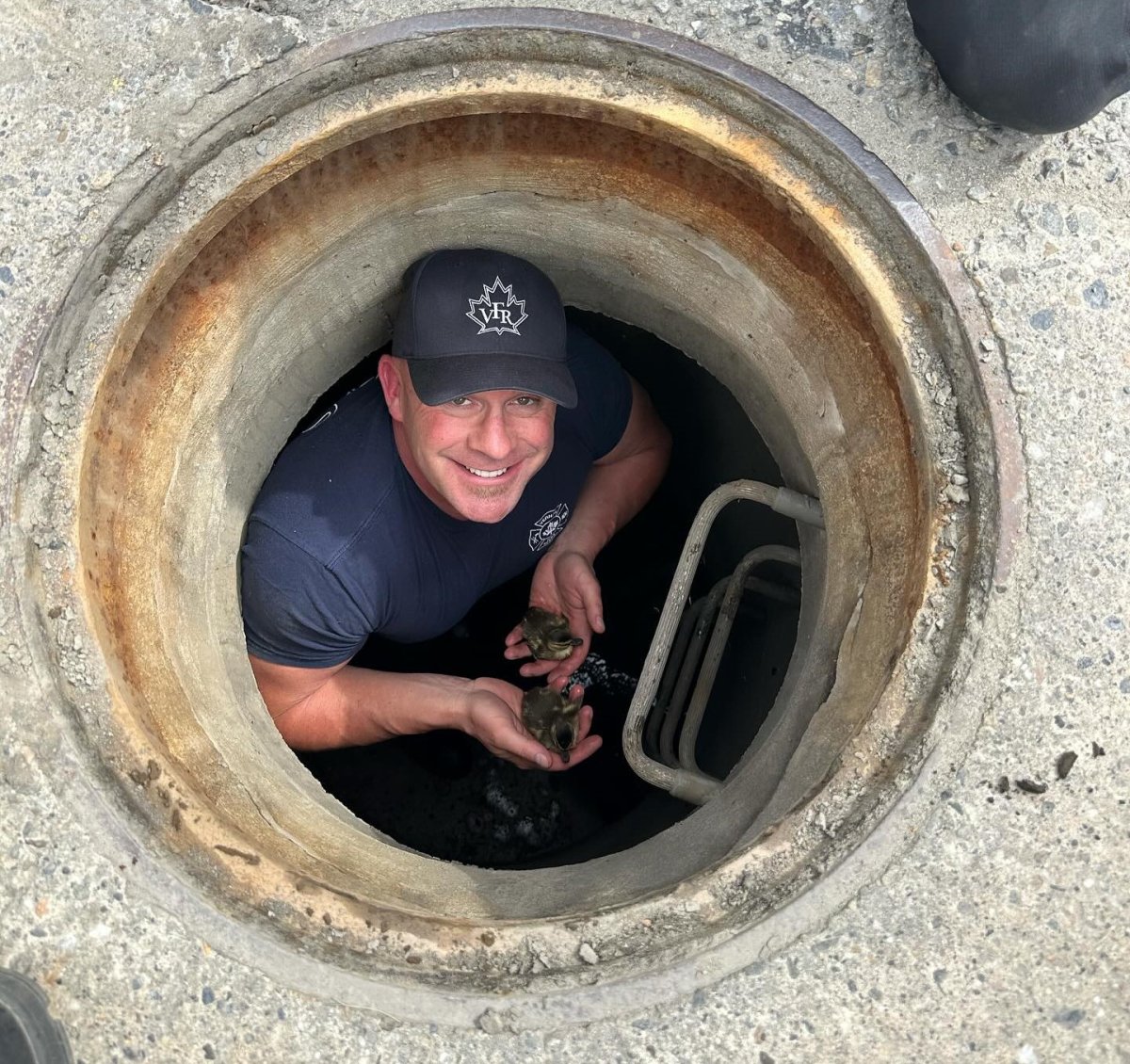 A smiling Vernon firefighter holding some of the trapped ducklings that were rescued from a storm drain on Saturday.