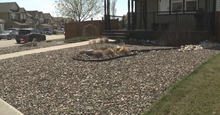 Alberta towns offer incentives to replace grass lawns with drought-resistant alternatives