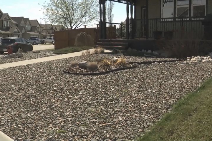 Alberta towns offer incentives to replace grass lawns with drought-resistant alternatives