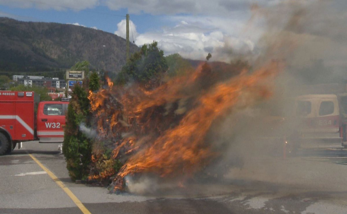 West Kelowna firefighters set up a demonstration at Firehall 31 on Saturday to show quickly cedar trees can catch fire.