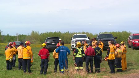 Firefighters receive special training to combat wildfires near urban ...