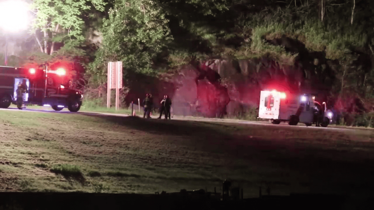 Pedestrian killed in Agassiz, B.C. collision - BC - Vimarsana News