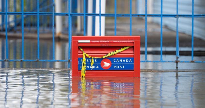Delivery issue: Why Canada Post ‘must change’ to avoid collapse – National