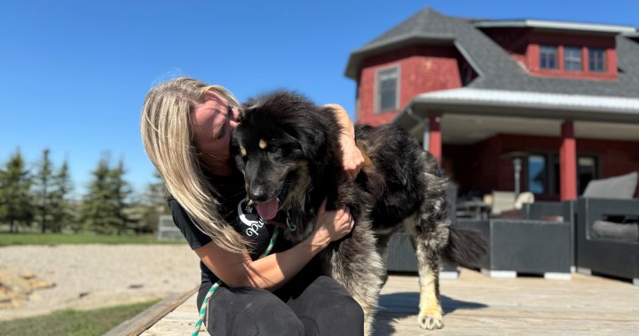 Calgary s Pups with Soul Rescue стартира години и оттогава