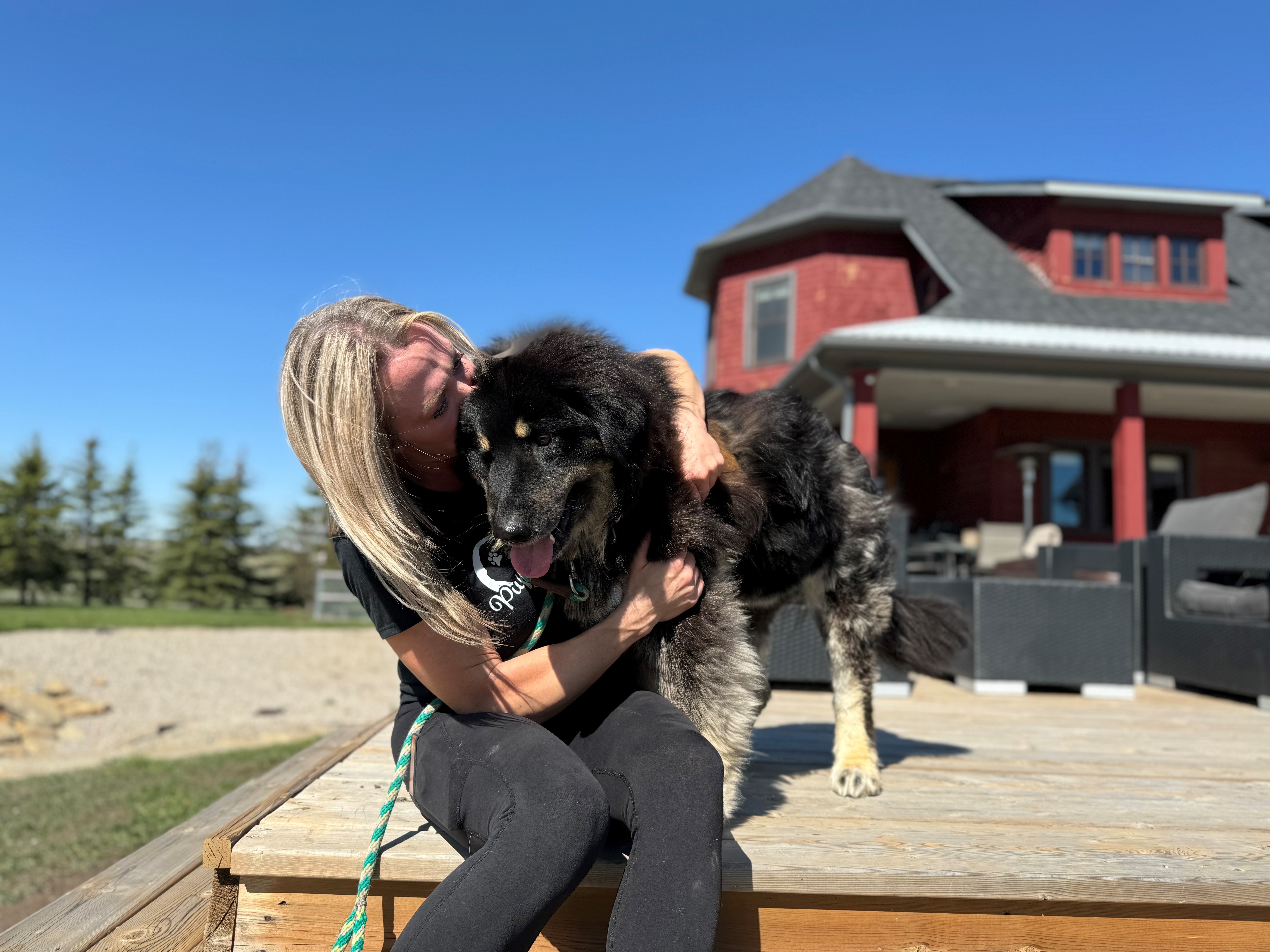 Black Dog Gala: Calgary event to celebrate dogs of a different colour