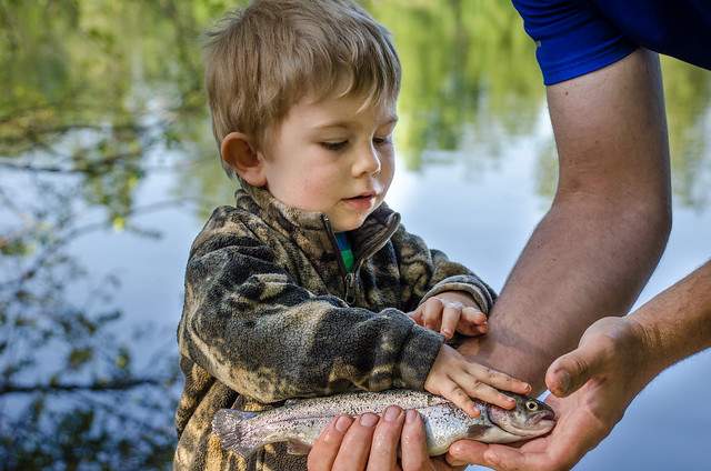 Como Lake Fishing Derby - image