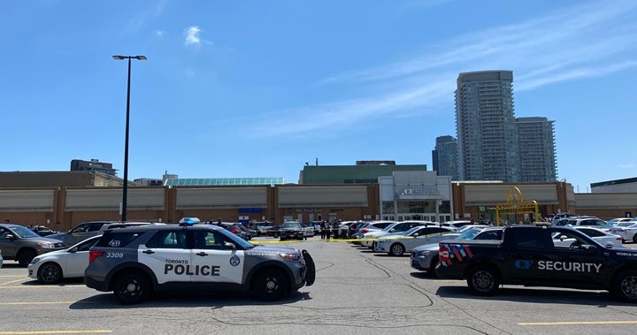 Жена е тежко ранена при намушкване с нож в Fairview Mall: полицията в Торонто