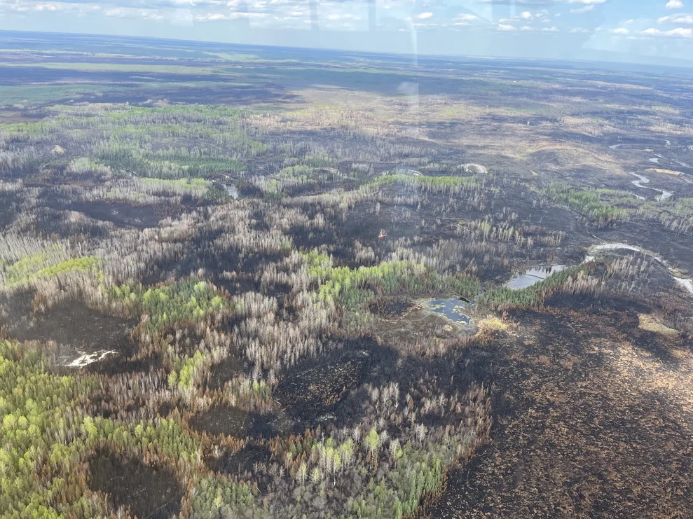 Горски пожар близо до Форт Макмъри вече е под контрол Alberta