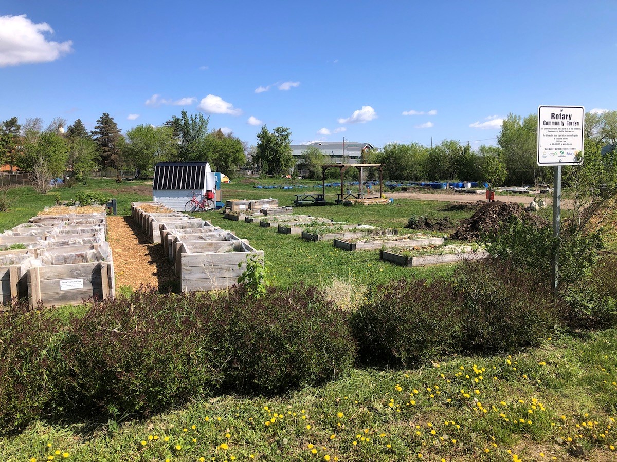 Обществена градина в Саскатун подчертава важността на достъпната местна храна
