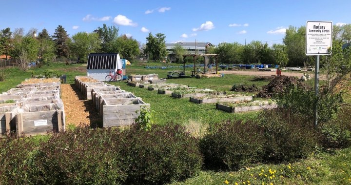 Обществена градина в Саскатун подчертава важността на достъпната местна храна