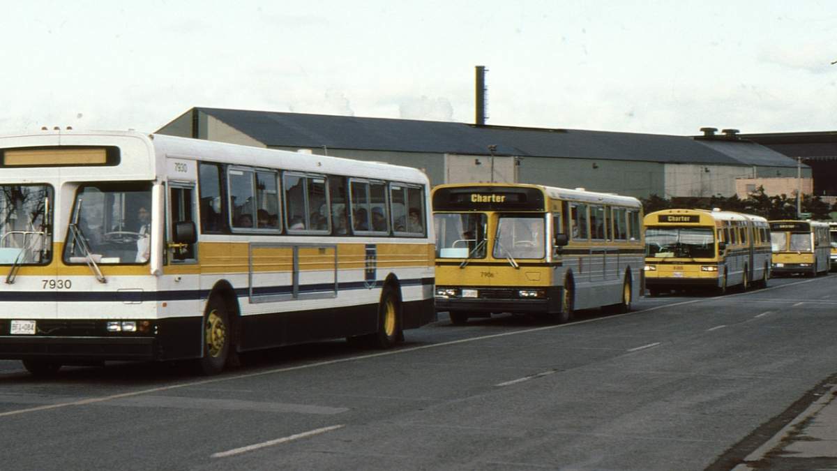 Hamilton Street Railway is set to acknowledge it's 150th birthday during May of 2024 via a variety of events and promotions.