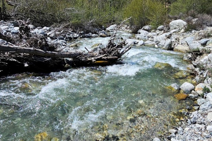 Siblings, ages 2 and 4, die after being swept away by river in California