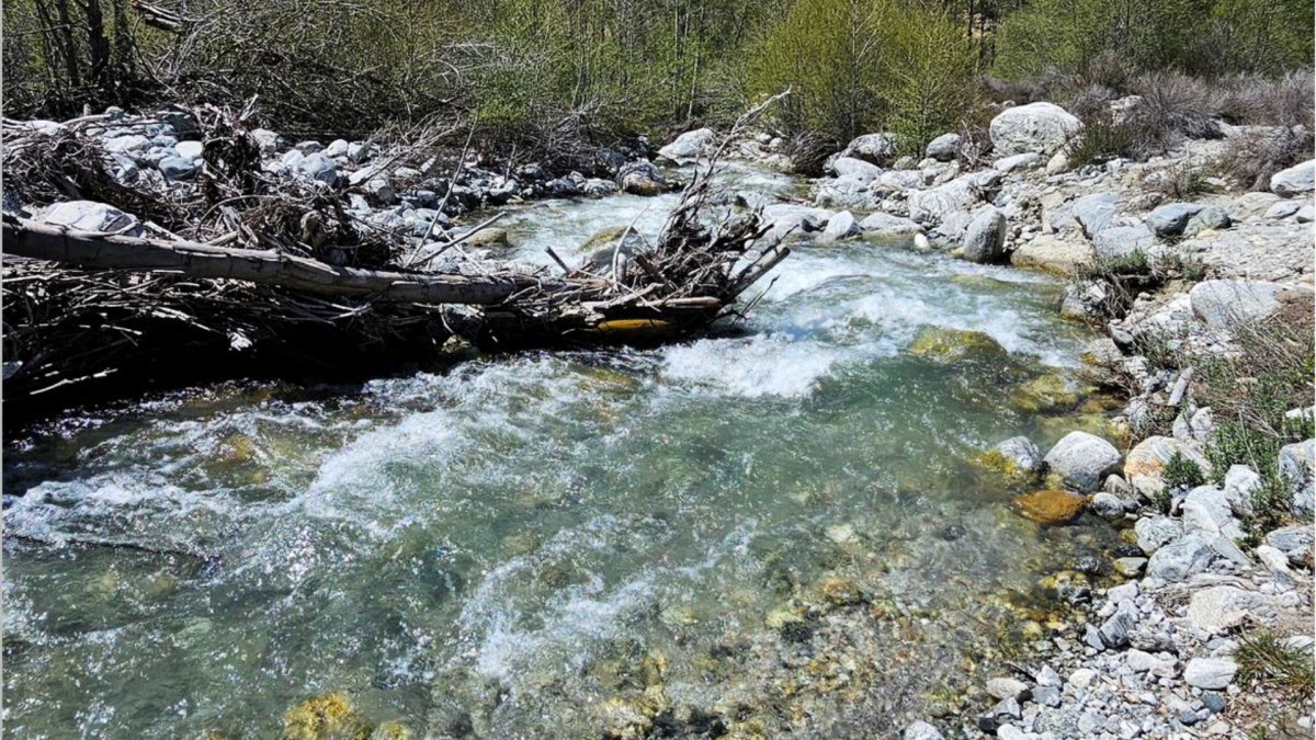 A rocky river tributary.