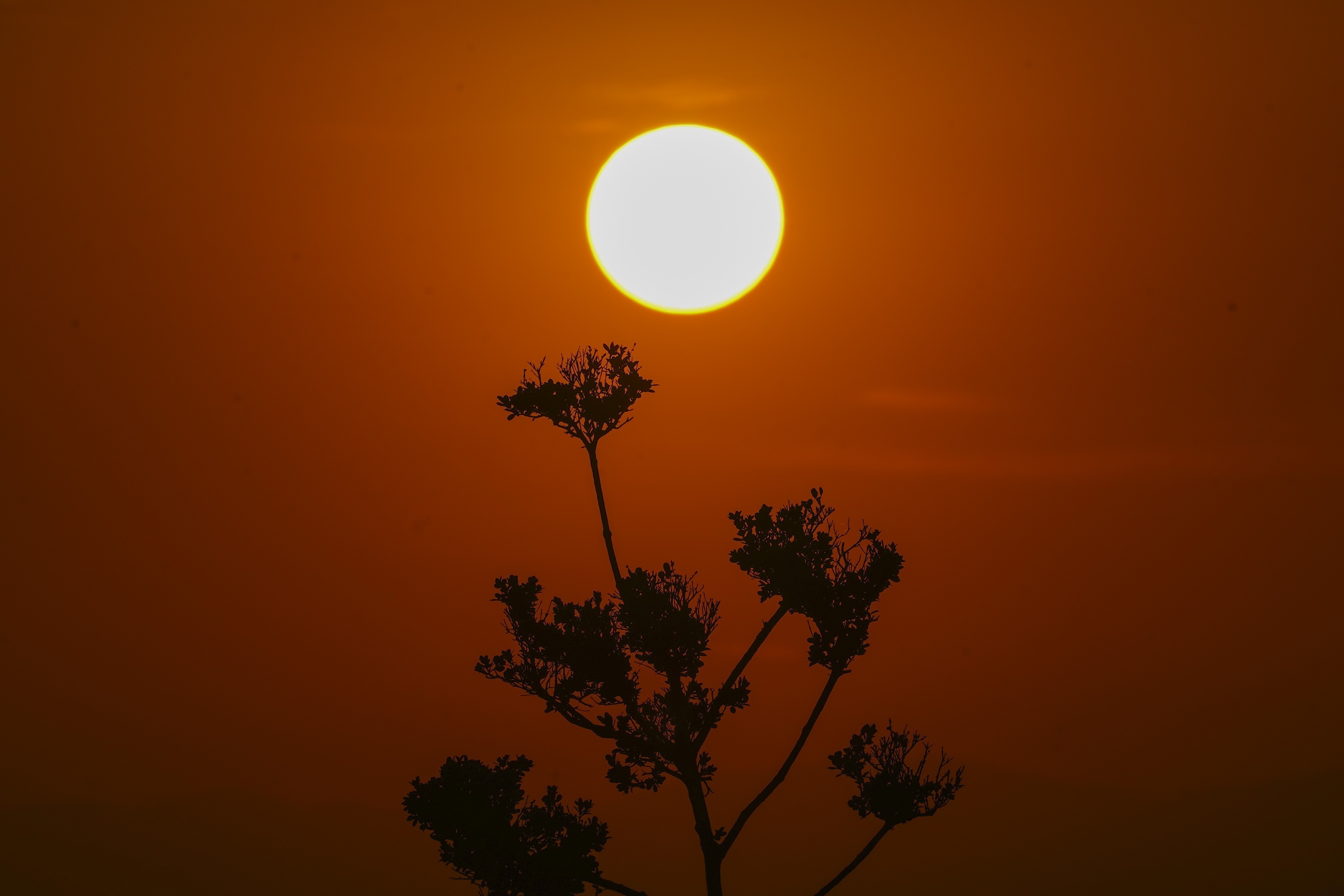 Mexico heat wave: Records shattered, experts warn of hail, whirlwinds