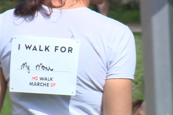 Saskatoon’s MS Walk sees restored participation