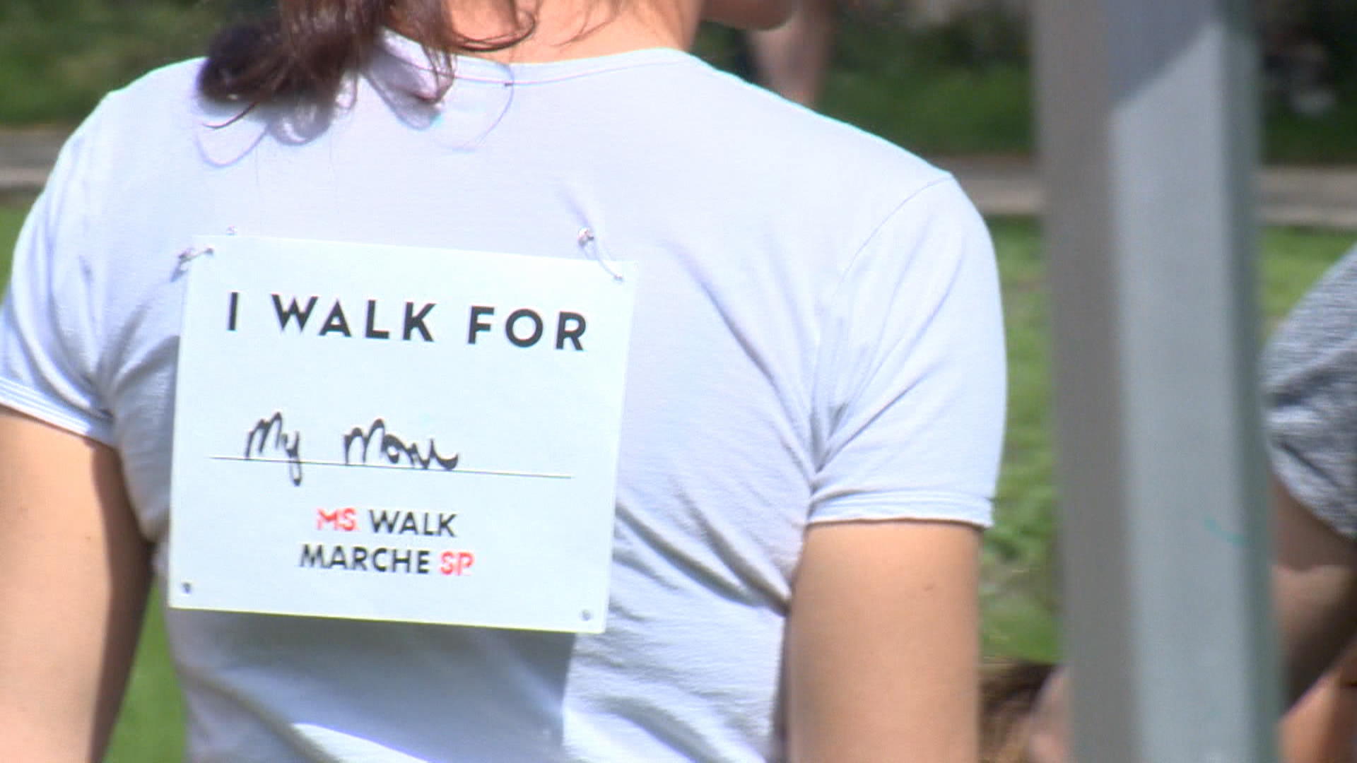 Saskatoon’s MS Walk sees restored participation
