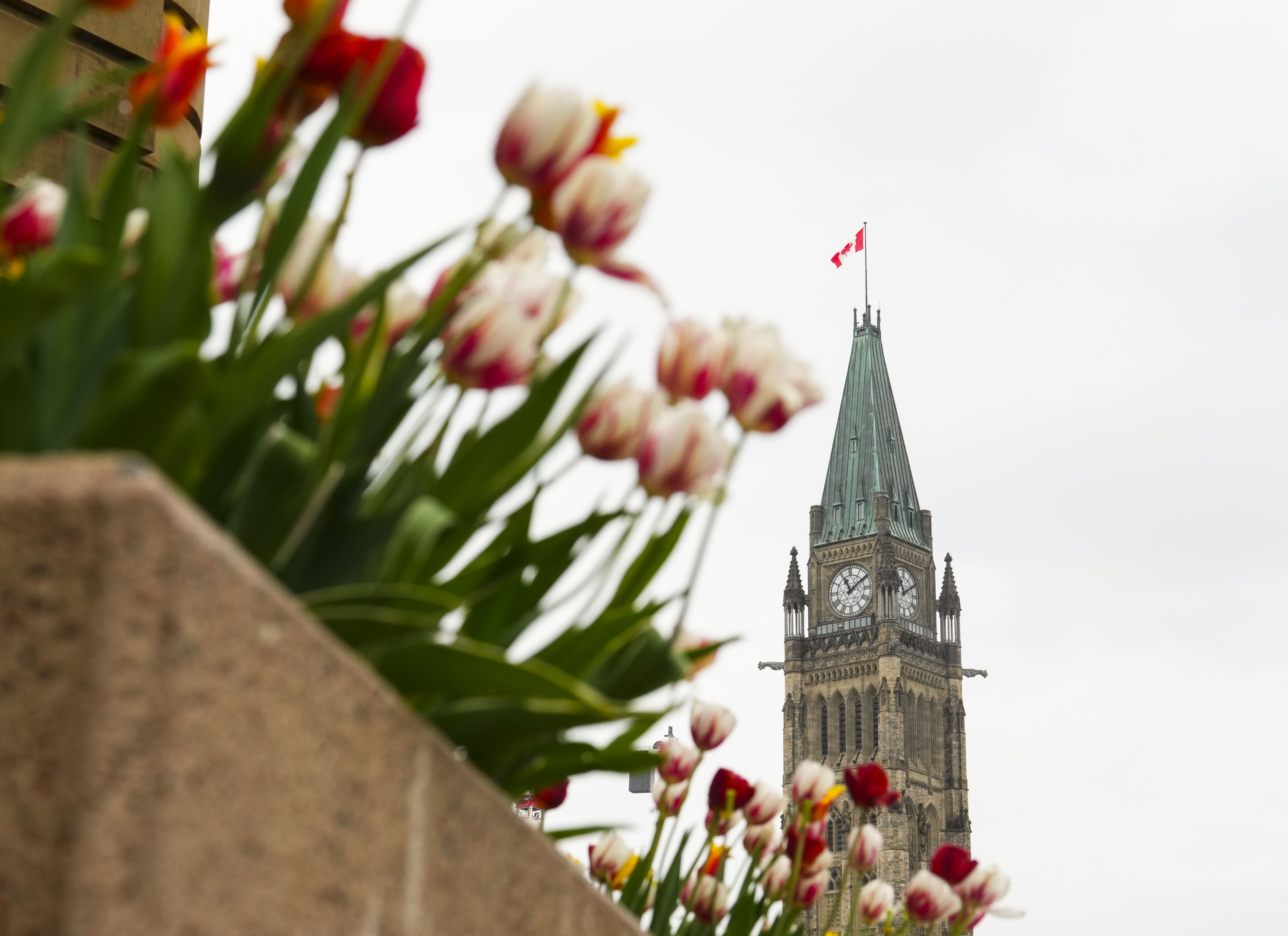 Законодателството на Канада забраняващо някои заместващи работници известно като закон