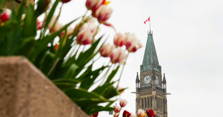 Канадските депутати гласуват за забрана на заместващи работници със законопроект „против краста“