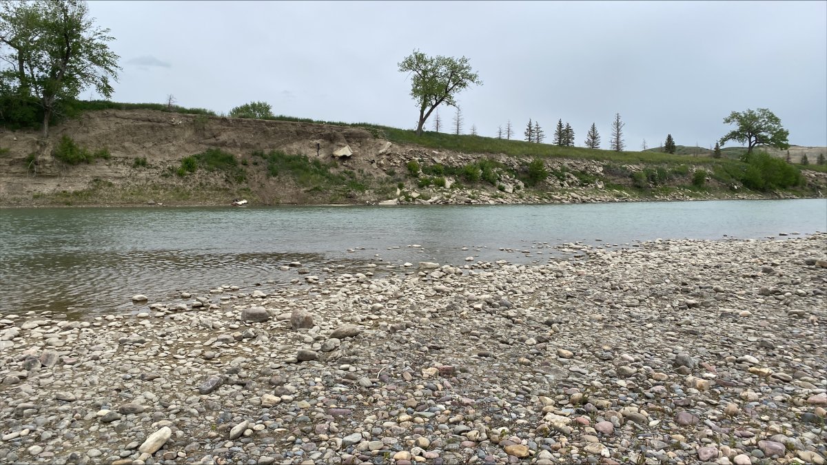 Police in Lethbridge, Alta., are investigating the death of a 27-year-old man after he drove his vehicle into the Old Man River.