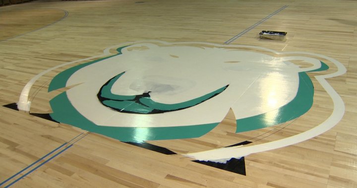 From March Madness to Winnipeg: Sea Bears welcome new basketball court