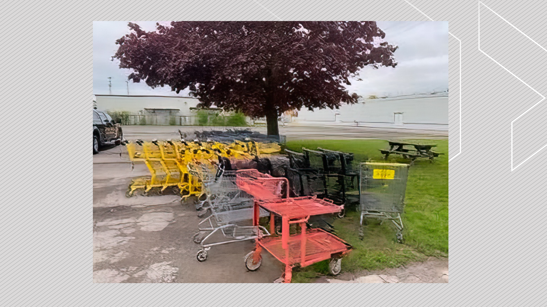 Brampton rejects geo-locking system for abandoned carts, sticks with $100 fine