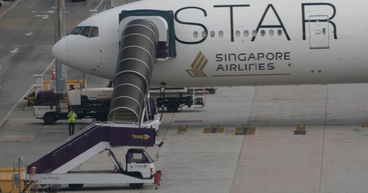 Сингапурските авиолинии заявиха в петък, че ще спрат услугите за