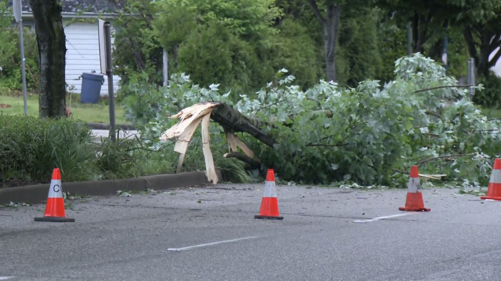 Хиляди жители в Долната част на континента загубиха електричество тъй