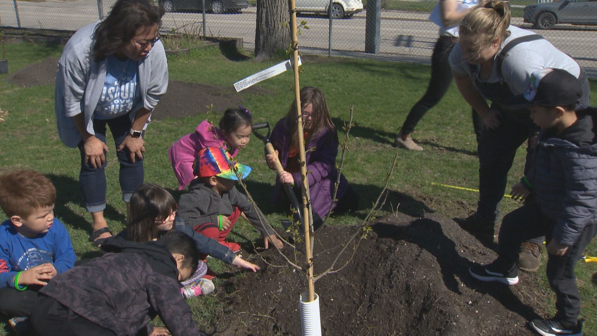 Greenway School a little greener with 51 new trees